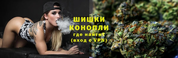 альфа пвп Елизово