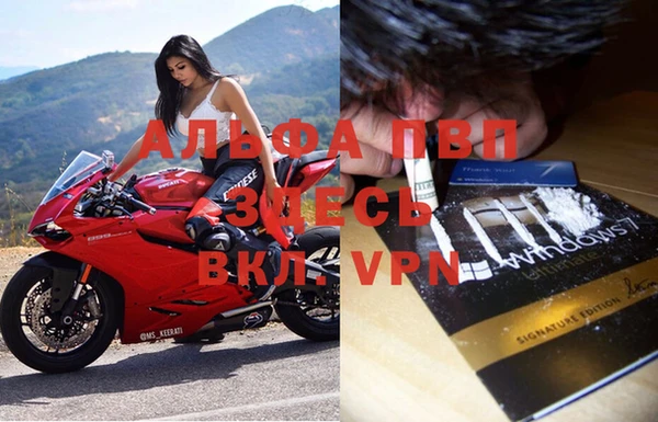 альфа пвп Елизово