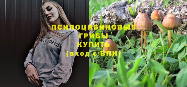 круглые Заводоуковск