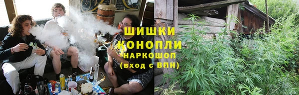 альфа пвп Елизово