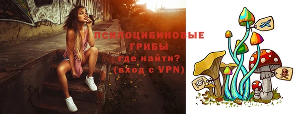 крисы Дмитров